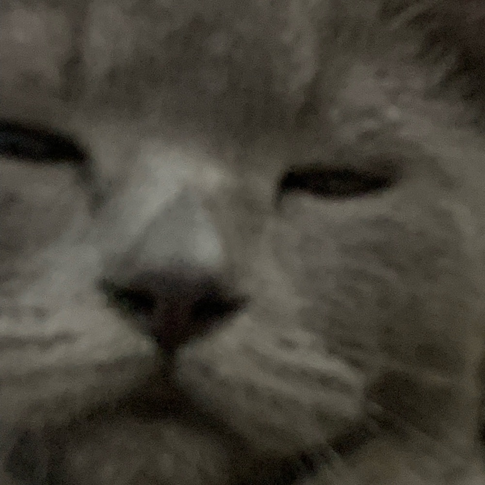 Meet your Posher, Ngoc